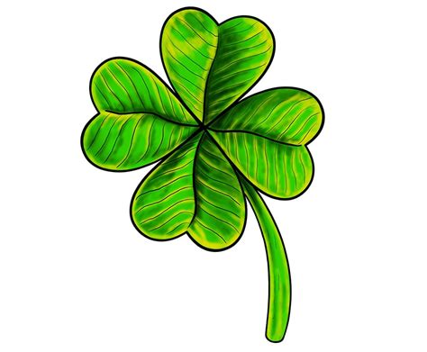 Cool Four Leaf Clover Drawing