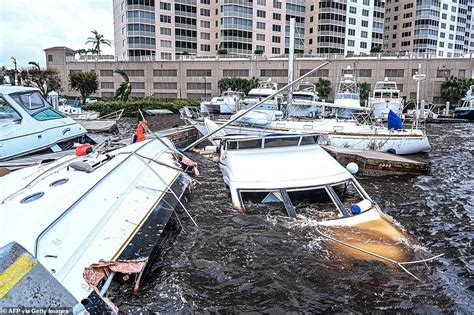 Officials in Fort Myers implement 6pm curfew due to LOOTERS targeting local businesses | Daily ...