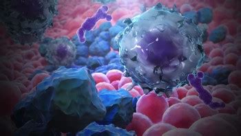 Macrophage detecting cancer cells - Scientific Animations