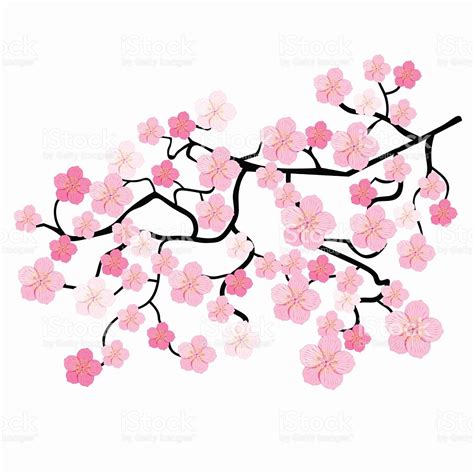 Cherry Blossom Drawing Wallpaper at GetDrawings | Free download