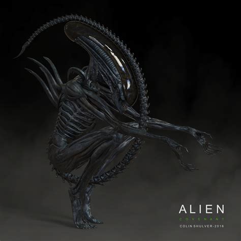 COLIN SHULVER - Alien Covenant