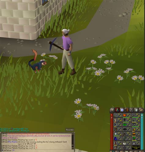 Agility Pet at 104k EXP : r/osrs