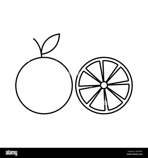 Orange fruit vector icon outline. Citrus. EPS 10. Slice illustration on ...