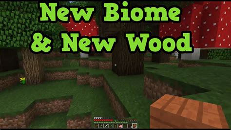 Forest Biome: Xbox Minecraft Forest Biome