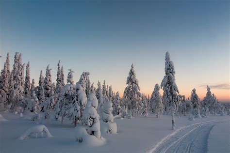 Winter In Arctic Finland