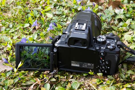 Nikon P950 vs. Nikon P1000: Superzoom Showdown | Digital Trends