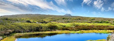 Wilderness Of Cape Point National Park In South Africas Western Cape ...