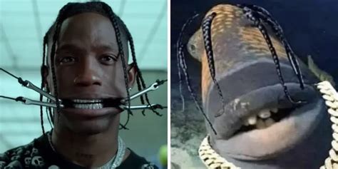 What Is Travis Scott Fish? Explained