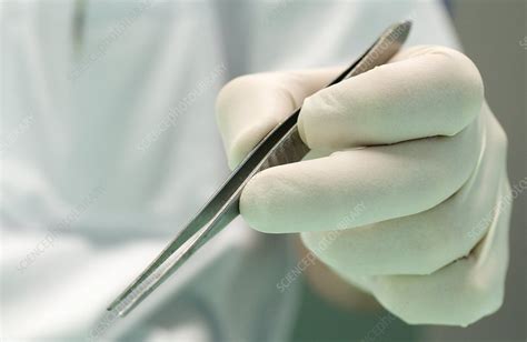 Surgical tweezers - Stock Image - C002/1839 - Science Photo Library