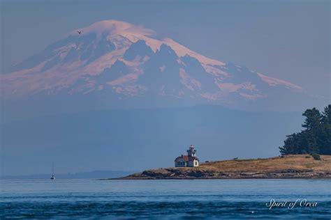 Salish Sea Marine Life - Spirit of Orca