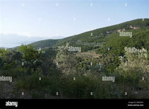 Mycenae Archaeological Site Stock Photo - Alamy