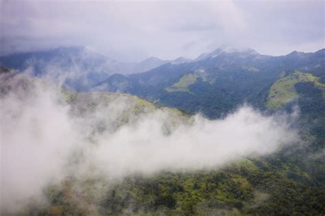 Nearly 100 killed in landslides in India