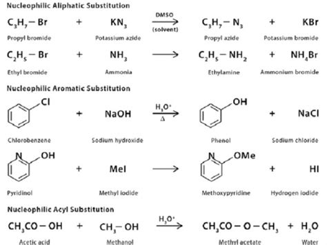 Nucleophilic Substitution Reaction – Definition, Types, Examples ...