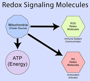 Redox Signalling Molecules for Healthcare