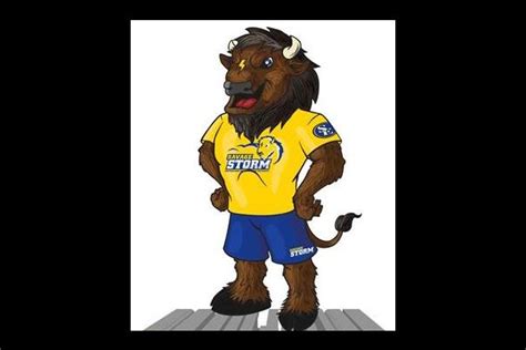 Southeastern Oklahoma State University introduces new bison mascot | Southeastern oklahoma state ...