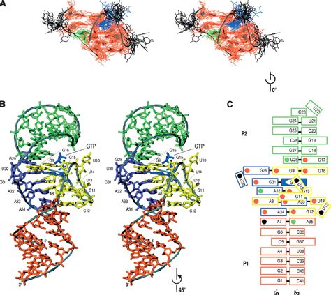 Solution structure of an informationally complex high-affinity RNA aptamer to GTP