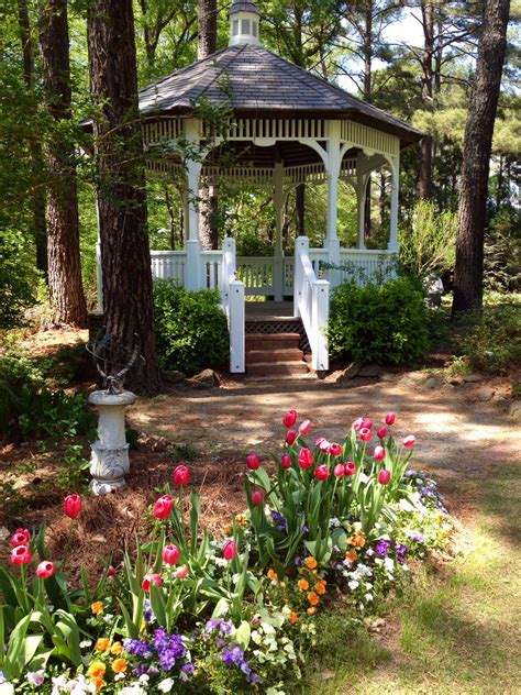 Cape Fear Botanical Garden in Fayetteville, NC | Botanical gardens, Outdoor structures, Places to go