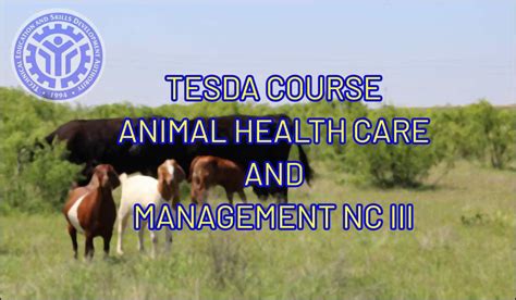 TESDA Animal Health Care and Management NC III Course - TESDA Online Program