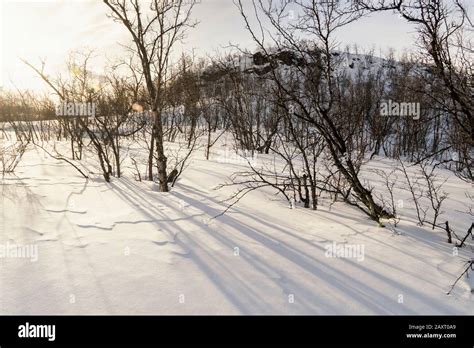 Sweden, Lapland, winter landscape Stock Photo - Alamy