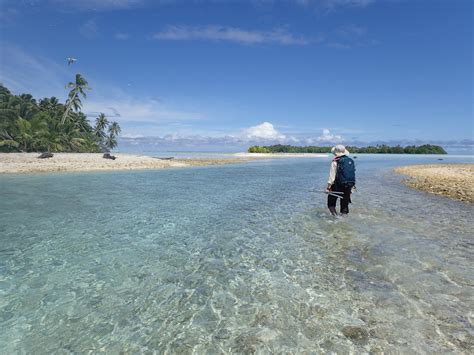 Island Conservation Notes From the Field: The Isolated Atoll of Palmyra - Island Conservation