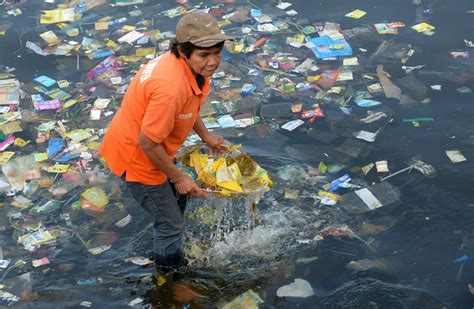 Ocean Pollution: Even Sea Creatures in the Deepest, Darkest Trenches ...