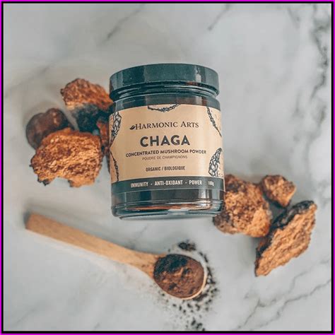 NATURAL POWDER - Chaga Concentrated Mushroom - Mushroom Cuts