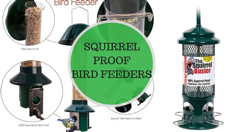 Best Squirrel Proof Bird Feeders Reviews UK | Resistant Feeders