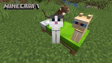 How to get different cat breeds in Minecraft