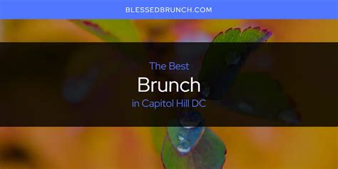 The Absolute Best Brunch in Capitol Hill DC [Updated 2025]