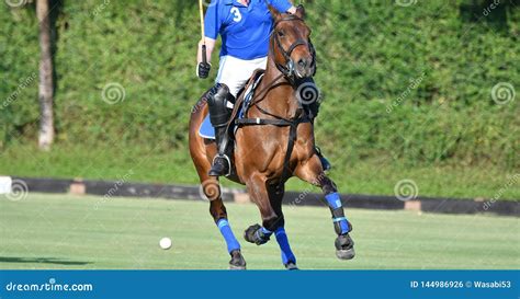 Horse Polo Player are Riding a Horse in the Polo Match Stock Photo - Image of polo, running ...