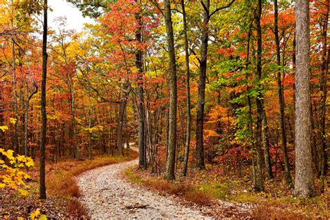 Kanawha State Forest - West Virginia State Parks - West Virginia State Parks