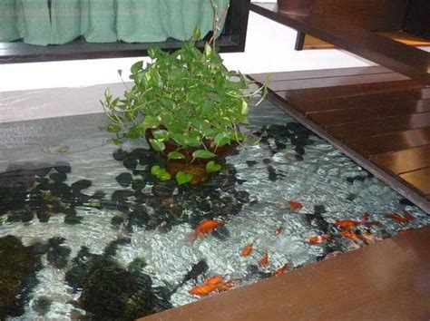 Modern Goldfish Ponds : Backyard Goldfish Ponds , Landscaping And Outdoor Building | Indoor ...