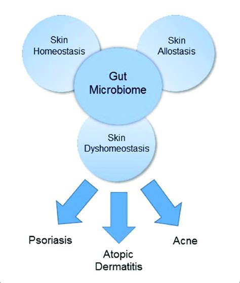 | The gut microbiome as a major regulator of the gut-skin axis. | Download Scientific Diagram