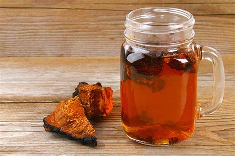 Chaga Mushroom Tea: Health Benefits and Side Effects