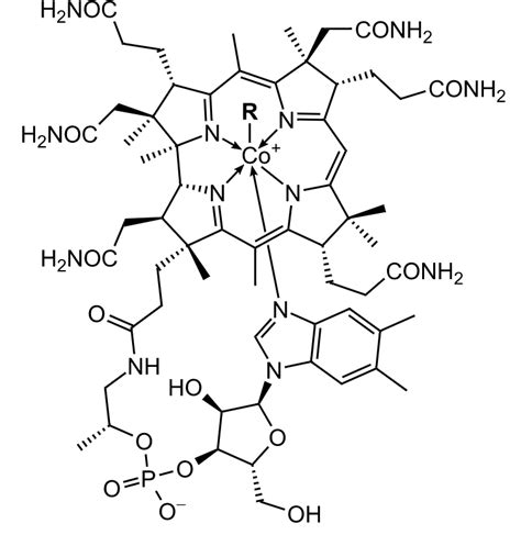 Vitamin B12 for Pain - Buesing Naturopathic