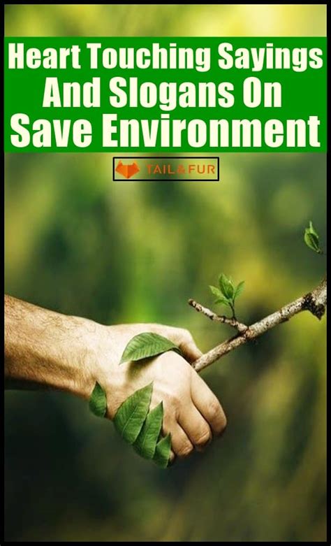 Slogans On Environment