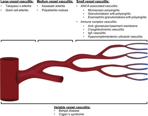 Radiologic Imaging in Large and Medium Vessel Vasculitis | Radiology Key