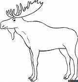 Moose Coloring Page  Easy Drawing Guides sketch template
