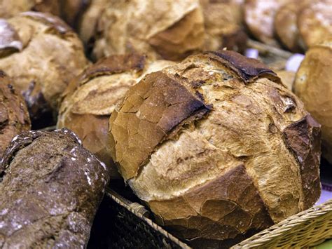 Bread in Italy – Types of Italian Breads & Where to Eat Them - Eating ...