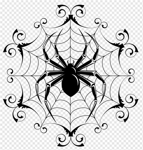 Spider Drawing Line art, spider, white, leaf, insects png | PNGWing