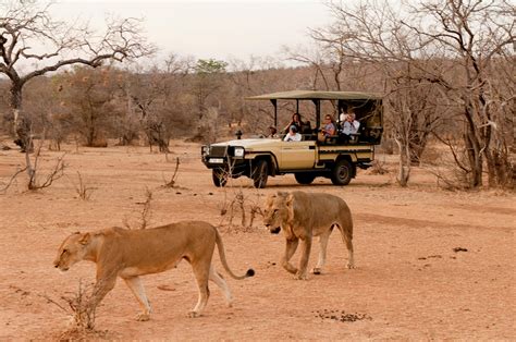 Selous Game Reserve Safaris & Tours | Selous Safari Holiday | Discover Africa Safaris