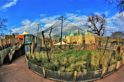 London Zoo Tiger Enclosure - Base Structures