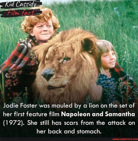 Film Jodie Foster was mauled by a lion on the set of her first feature ...