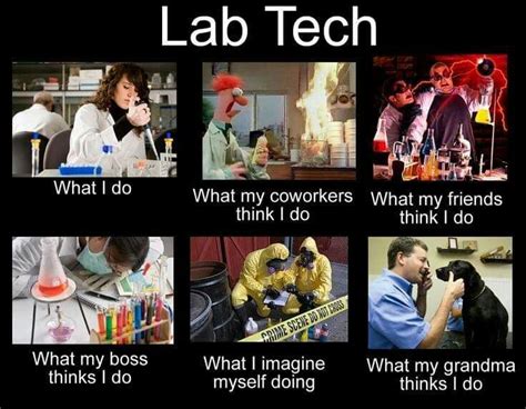 Pin by Joan Huffman on What I really do meme | Laboratory humor, Lab ...