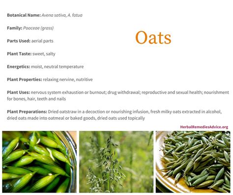 Health Benefits of Oats