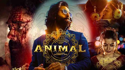 Animal Box Office Collection Day 16: Record-Breaking ₹784 Crore Worldwide Inches Closer to ...