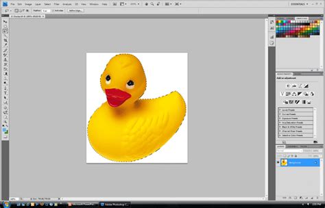 Using the Lasso Tools in Photoshop - TeachUcomp, Inc