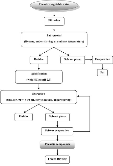 Extraction procedure of phenolic compounds from the olive vegetable water. | Download Scientific ...