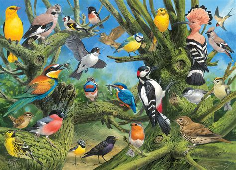 Garden Birds, 1000 Pieces, Eurographics | Puzzle Warehouse