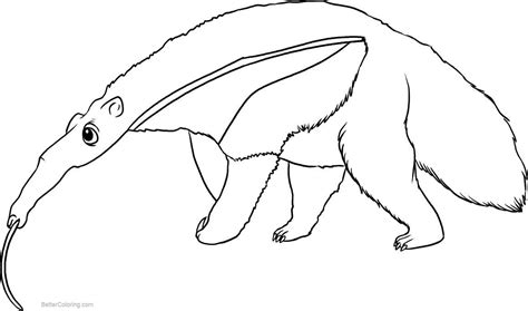 Anteater Coloring Pages Realistic Line Drawing - Free Printable ...